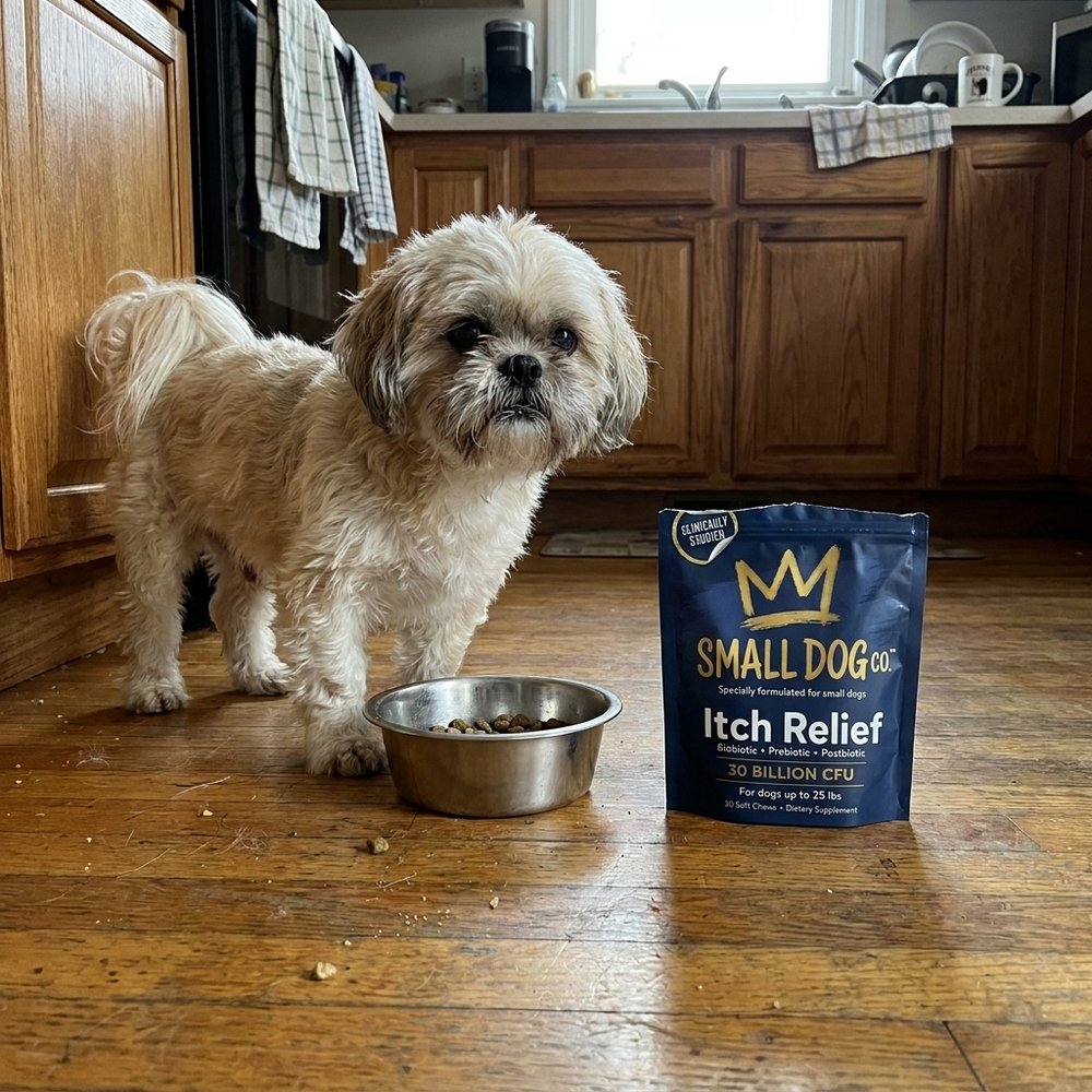 A Shih Tzu by its food bowl with the Small Dog Co. pouch
