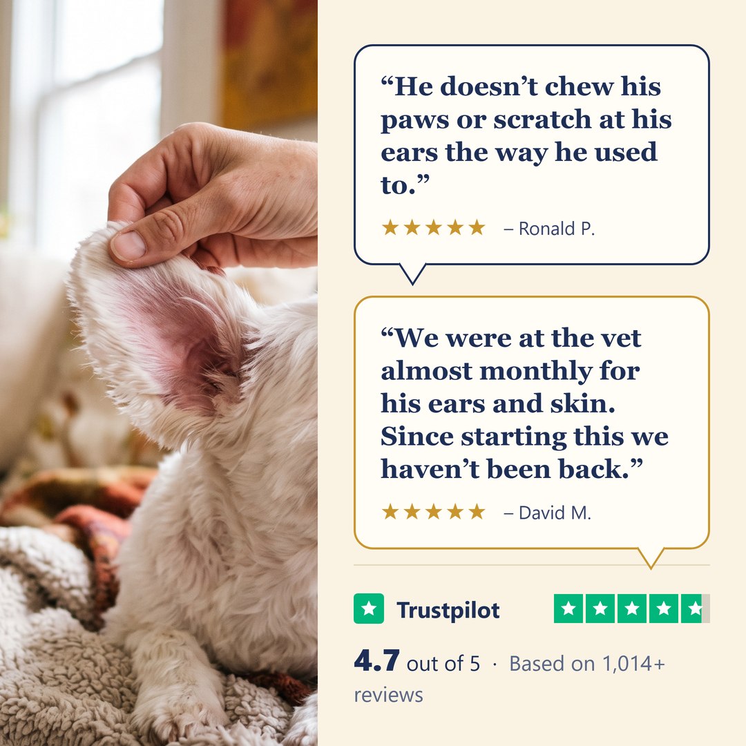 4.7 out of 5 — real ear reviews from small-dog owners