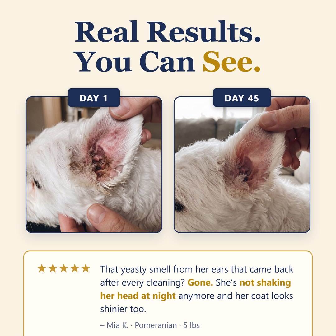 Real results — her ear on day 1 and day 45