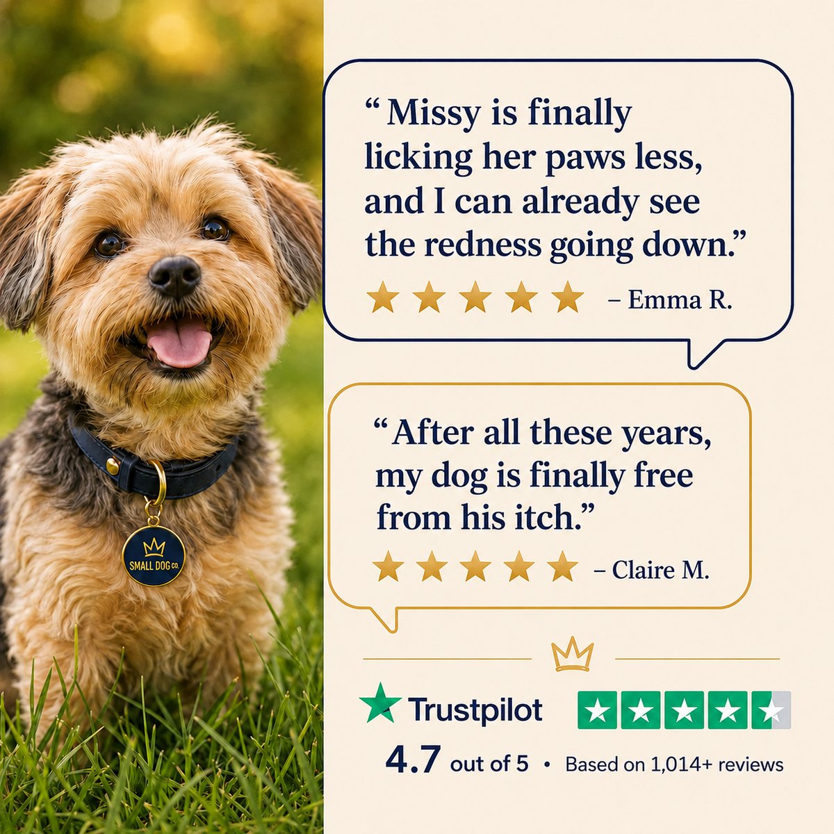 4.7 out of 5 from 1,200+ reviews on Trustpilot