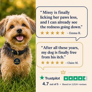 4.7 out of 5 from 1,200+ reviews on Trustpilot
