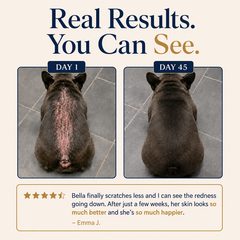 Real results — Day 1 vs Day 45